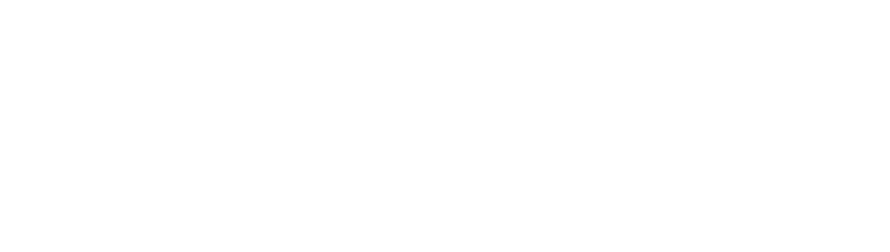 501 Fun